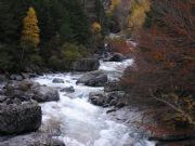 Los colores del otoño